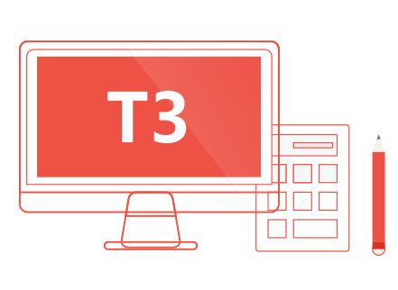 T3